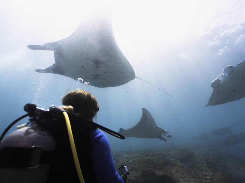 Ocean-Gravity-Dive-Center12