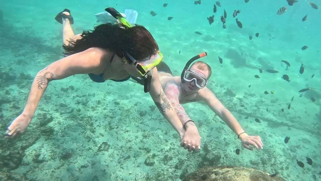 Pic-311