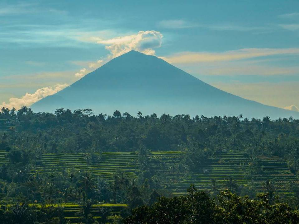 pexels-oleksandr-p-216664312